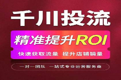 竞价广告的投放时机与频次选择——基于案例的探讨
